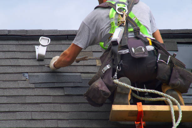 Best Shingle Roofing Installation  in Temple Terrace, FL
